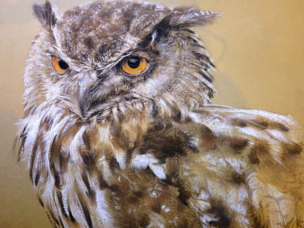 image link to animals page (https://traceysdrawingroom.com/animals/)