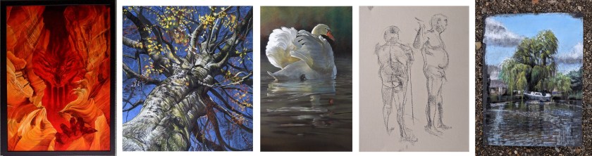 My piccies banner_small sharp